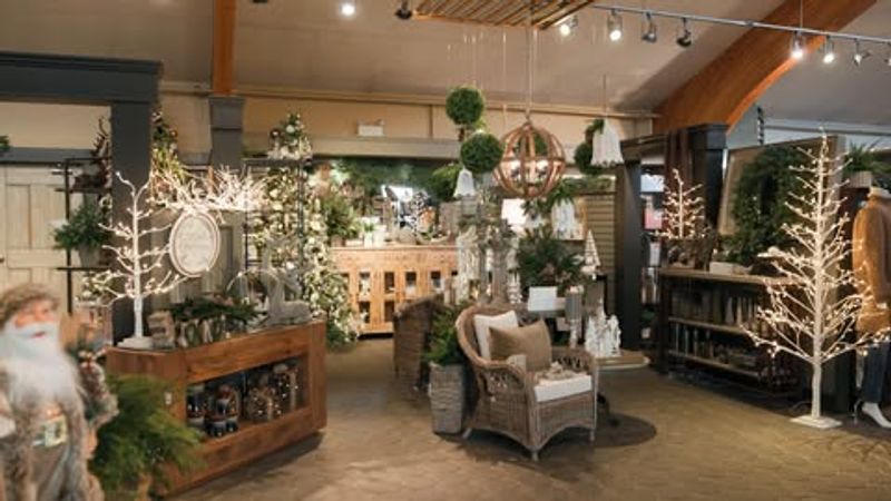 Display Concepts Are Designed During Winter Months