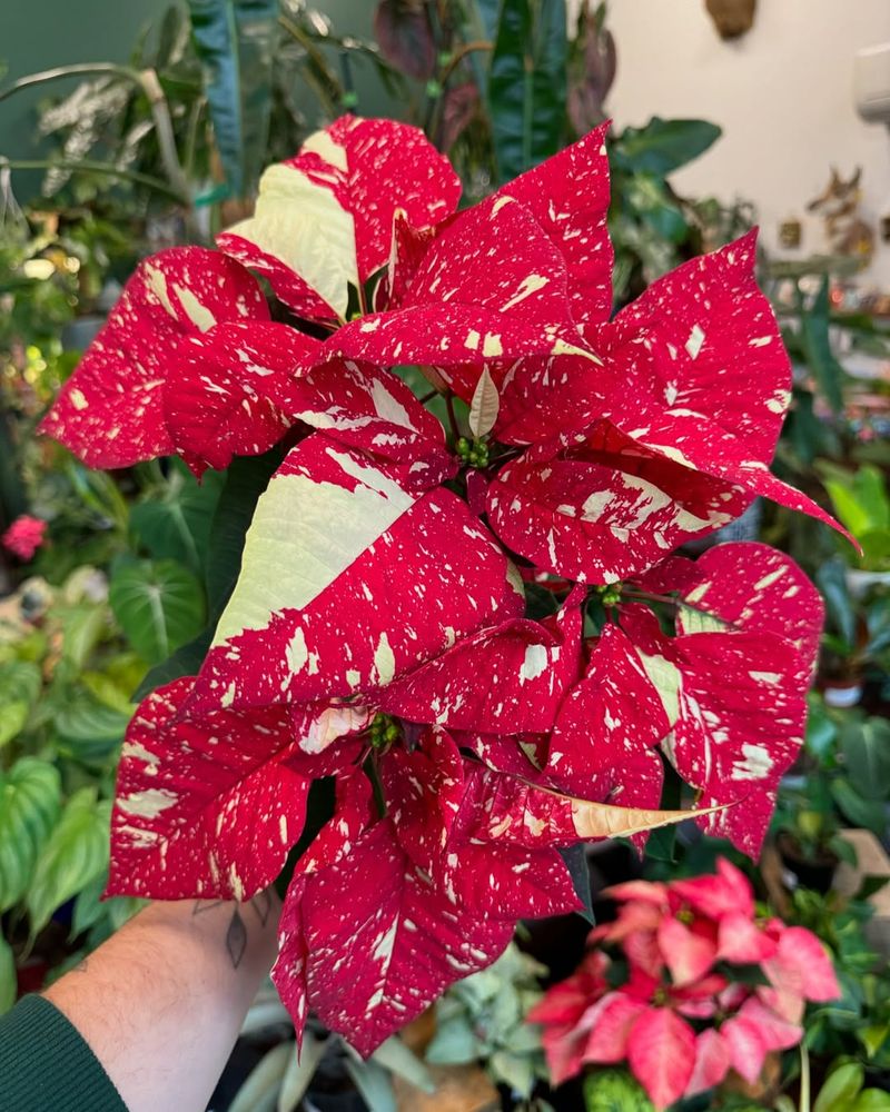 Specialty Items Require Extra Production Time