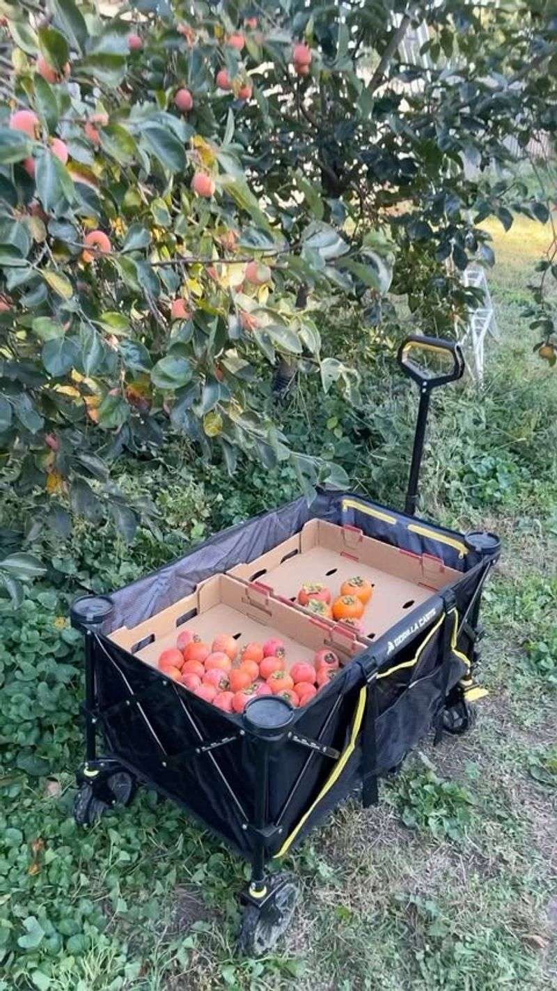 Collapsible Garden Wagon With All-Terrain Wheels