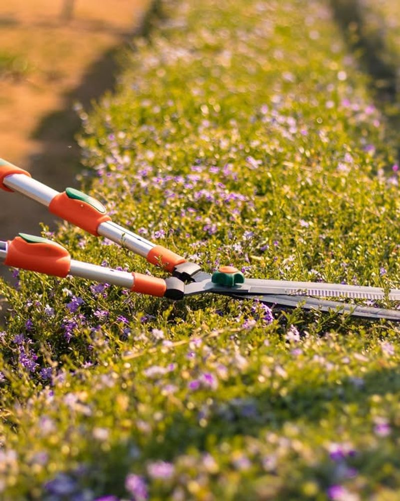 Telescoping Hedge Shears