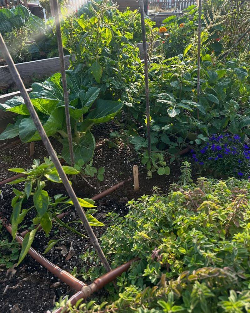 Plan Next Year's Garden Layout