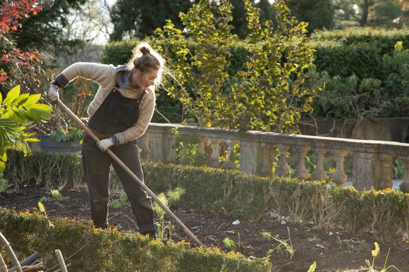 Prepare For Pests With Natural Solutions