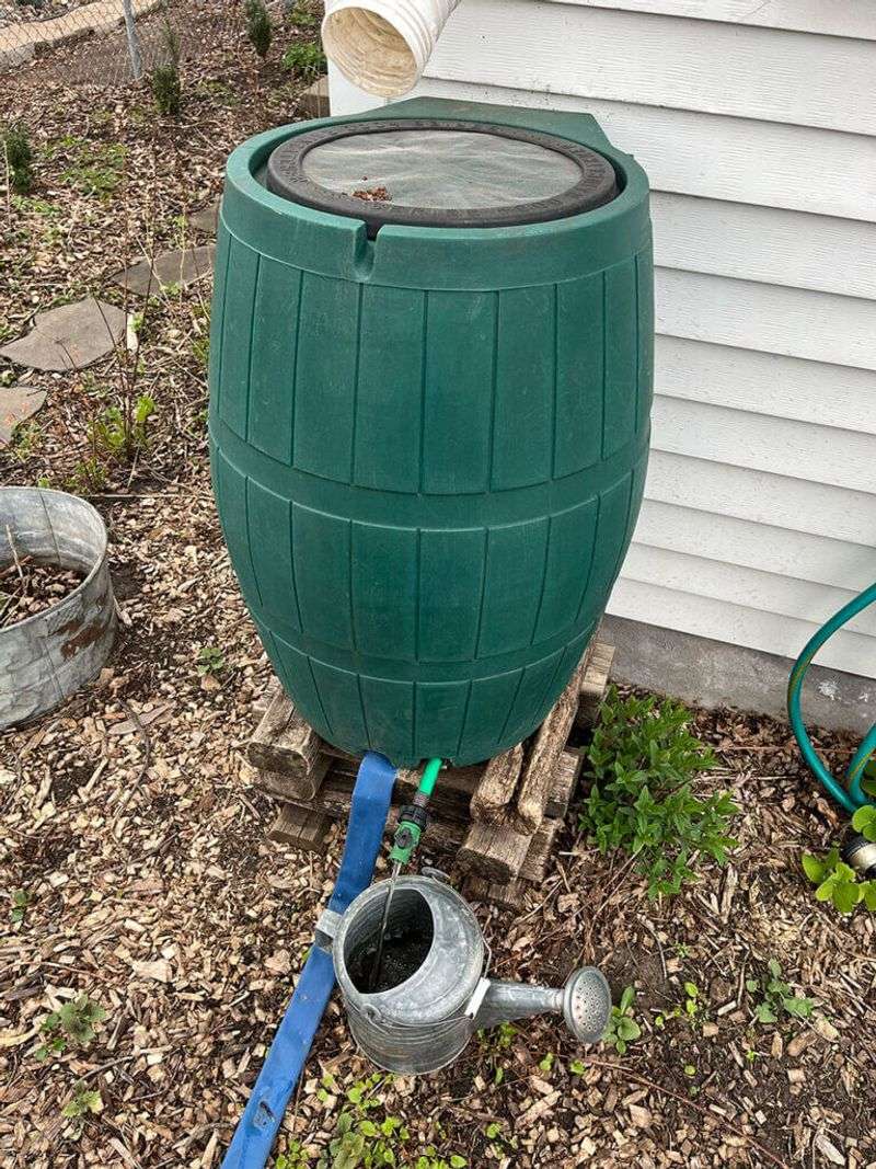 Collect Rainwater For Free Garden Irrigation