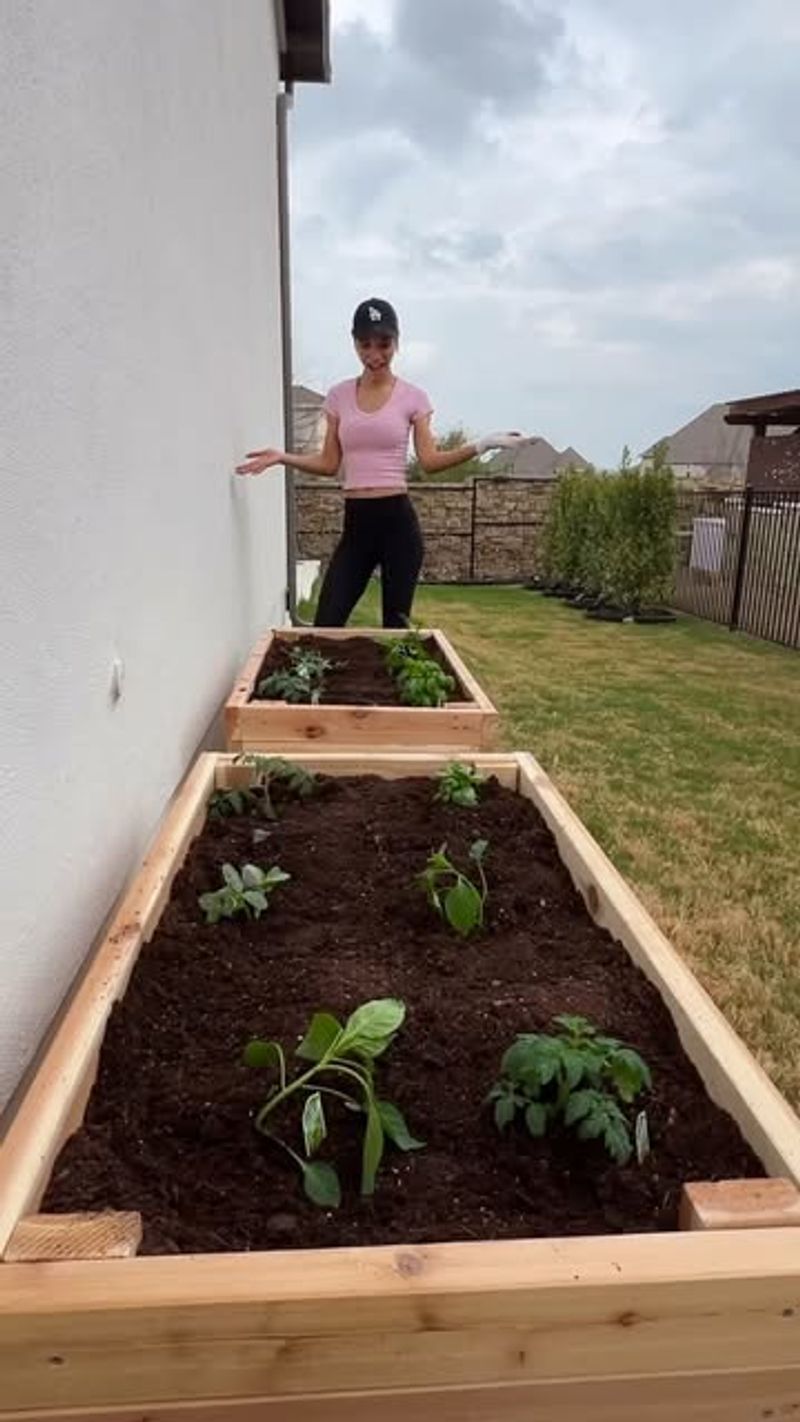 Pick A Wall That Matches Your Yard