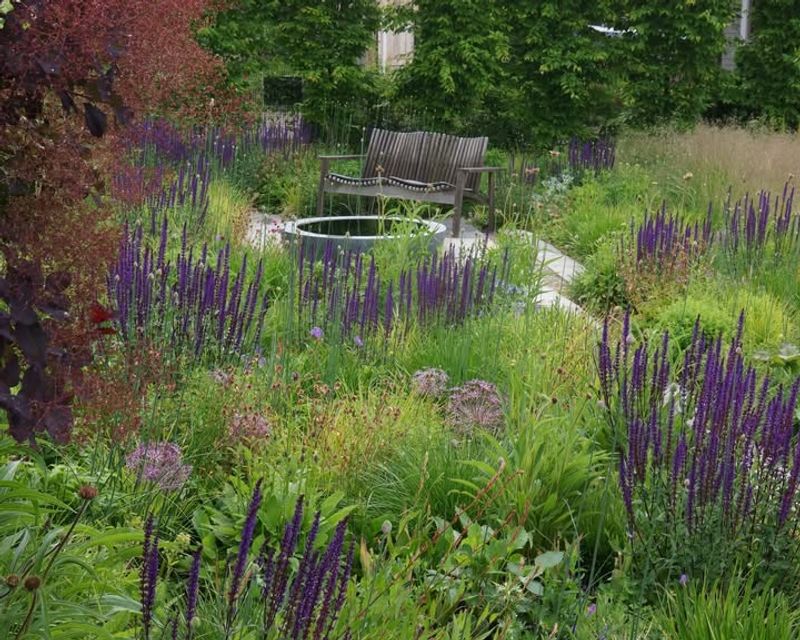 Layer Different Shades of Purple