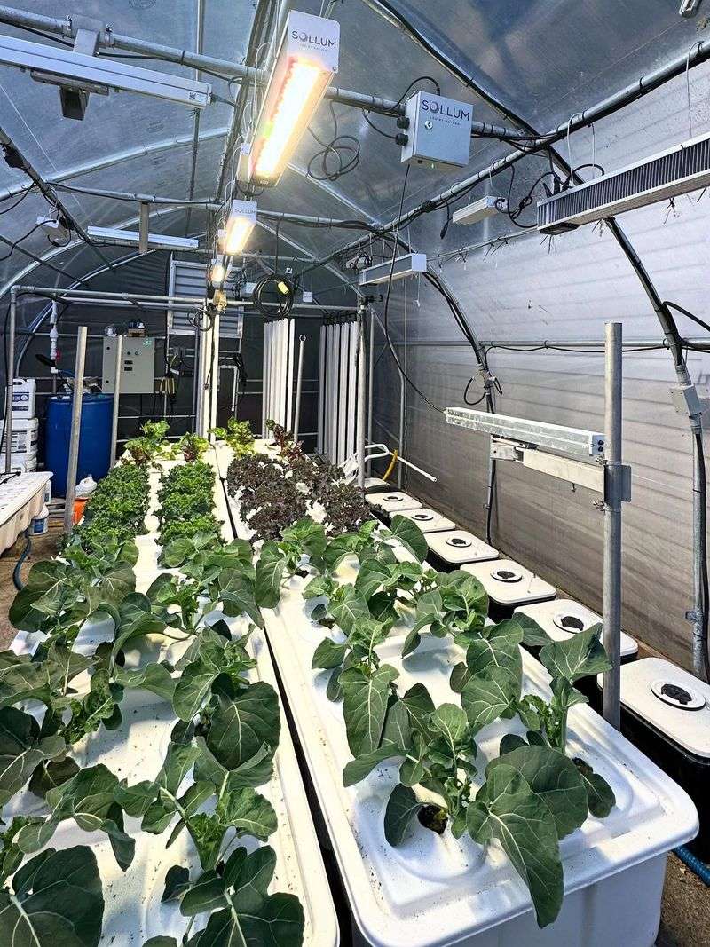 Adjusting Supplemental Lighting Systems