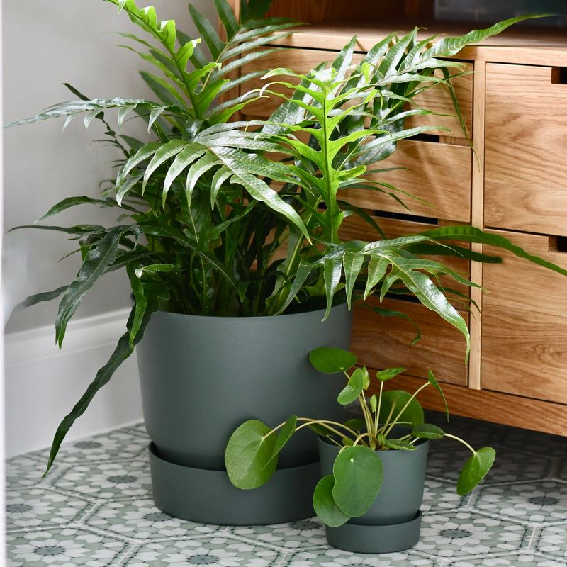 Environmental Consciousness Drives Thoughtful Choices