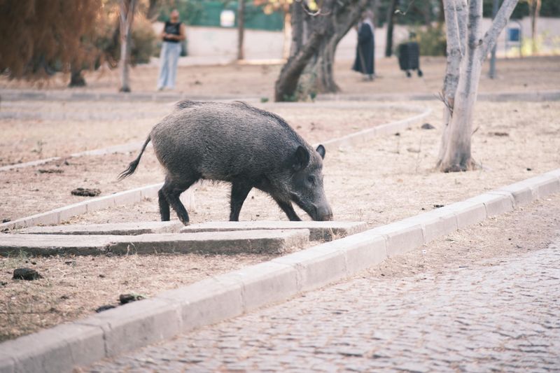 Get Indoors Immediately If Possible