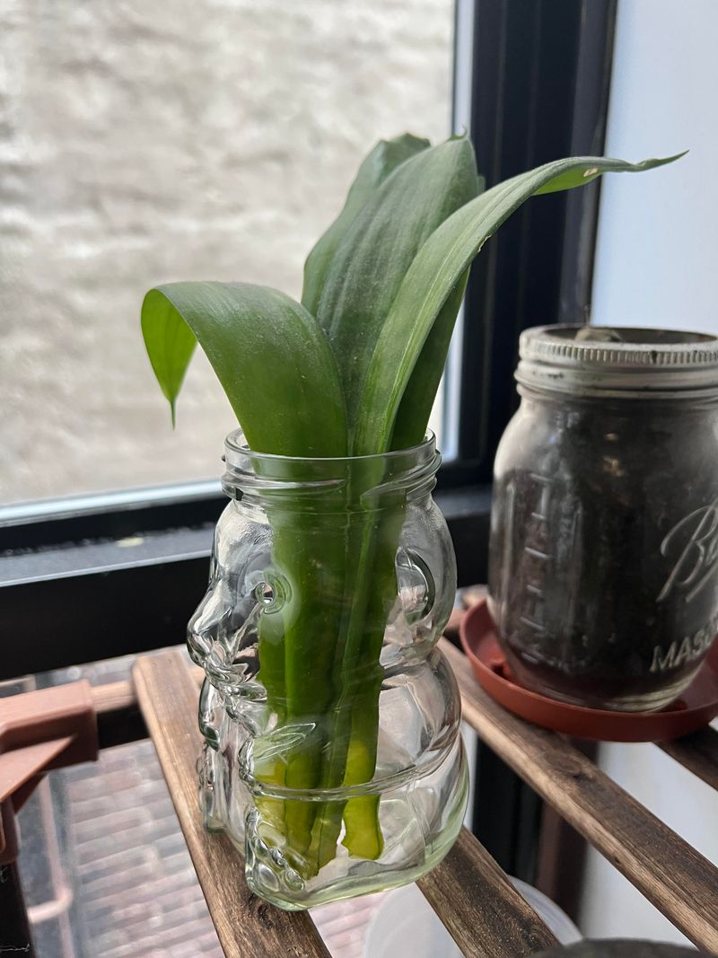 Step 2: Prepare A Clear Jar Or Vase