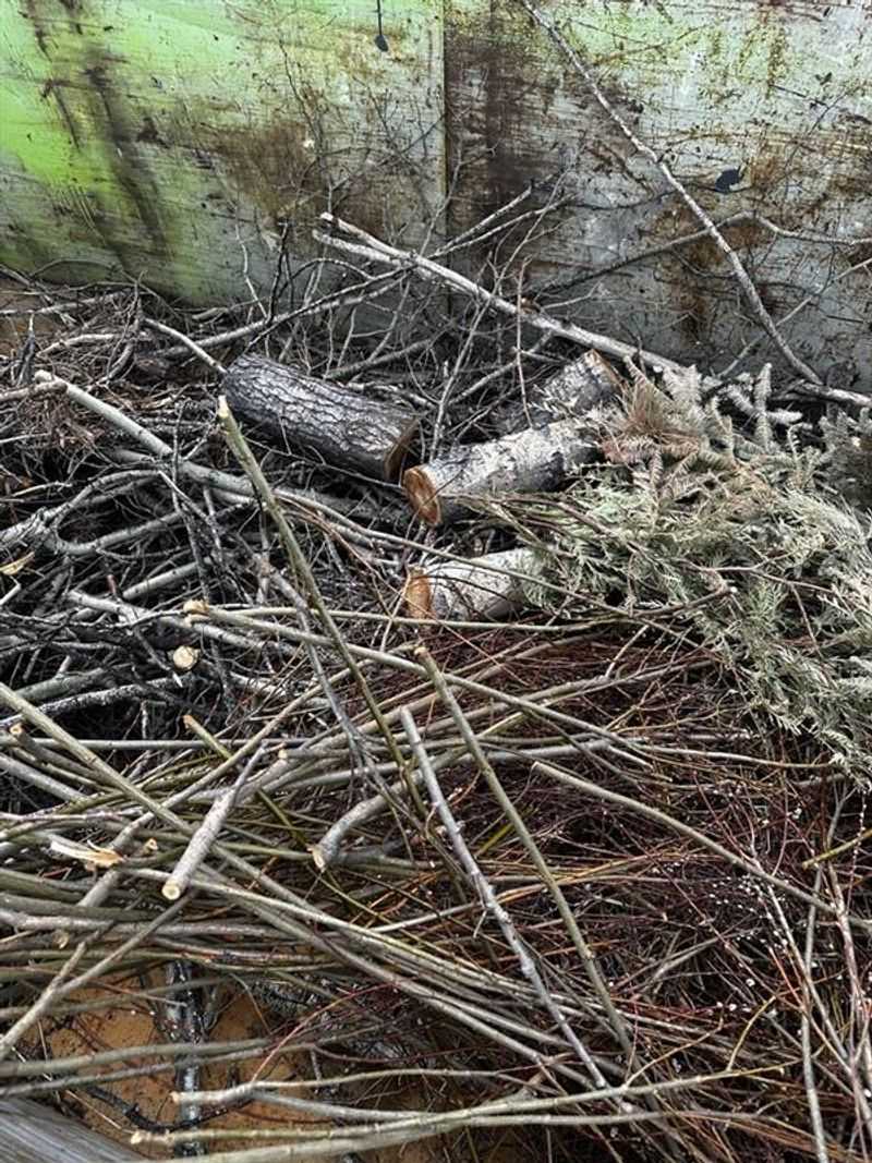 Wildfire-Risk Reduction Programs Require Different Disposal Methods