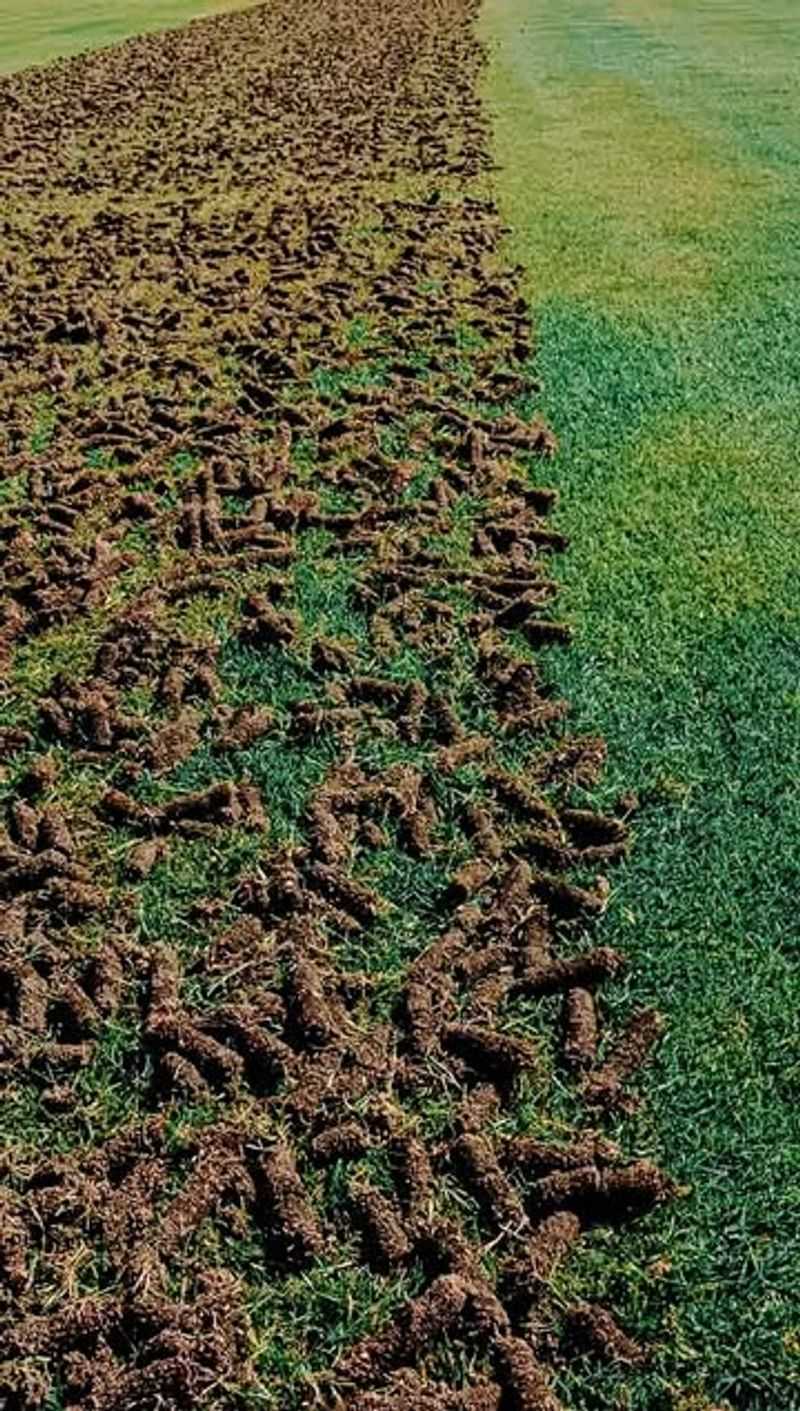 Reduced Lawn Traffic and Compaction