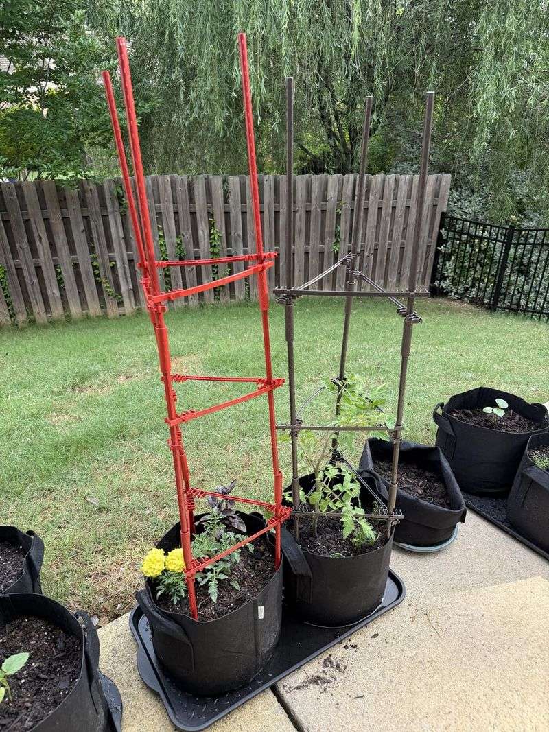 Tomato Cages Wrapped with Plastic