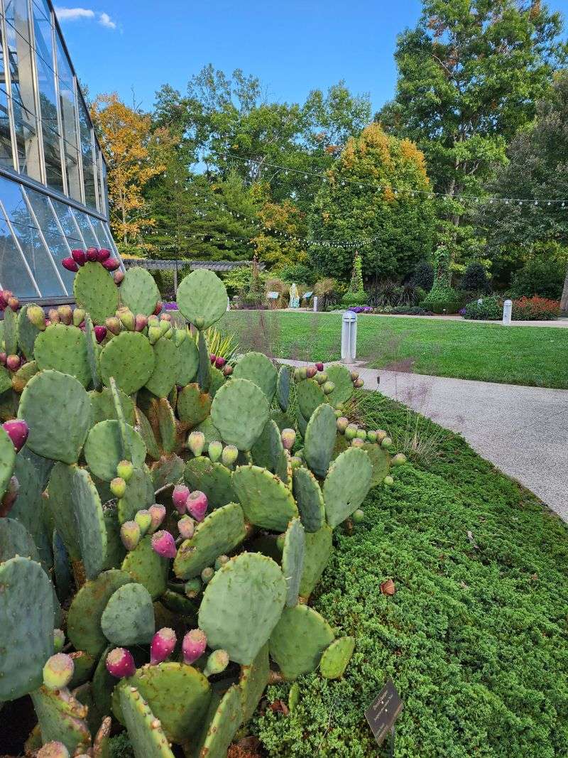 Production Greenhouse Behind-The-Scenes Tours