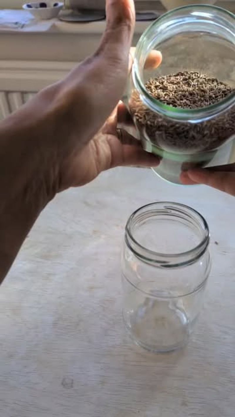 A Sustainable, Zero-Waste Plant Care Trick For Winter