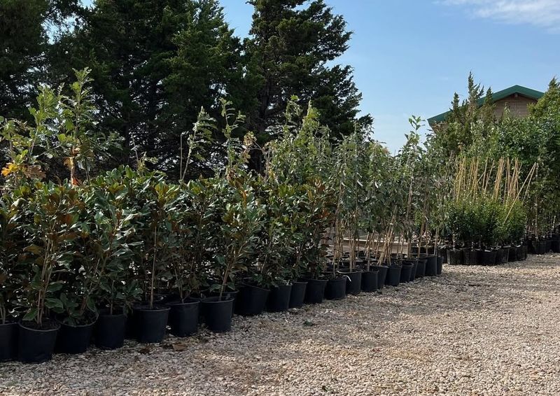 Increased Property Values Throughout the City