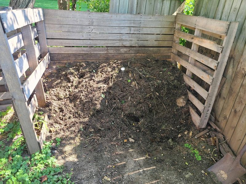 Unscreened Compost Or Waste Piles That Attract Pests