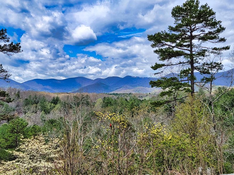 Miles Of Scenic Hiking Trails