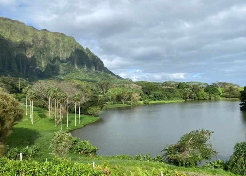 Peaceful Atmosphere That Soothes The Soul