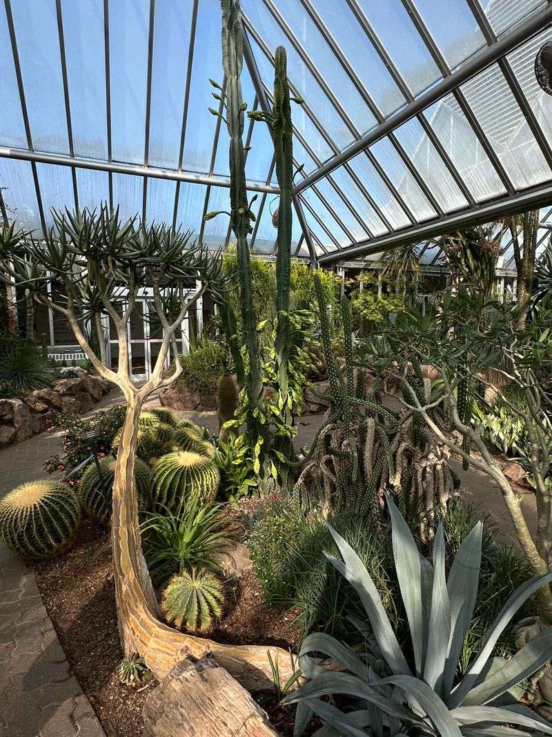 Warm Greenhouses Offer Tropical Escapes From Cold Weather