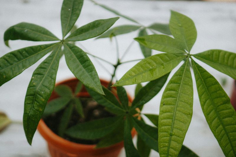 Fall Transition: September Through November Adjustments