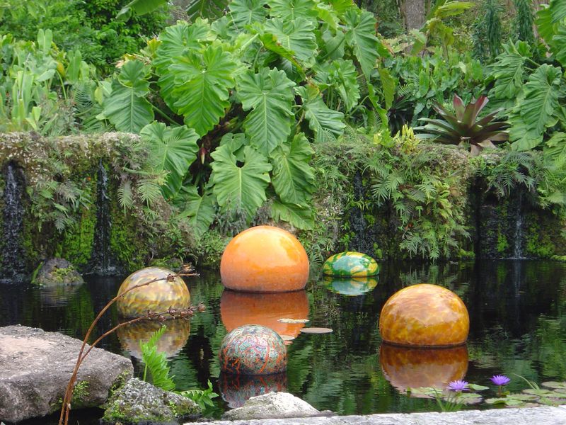 Native Florida Plant Garden Celebrating Local Flora