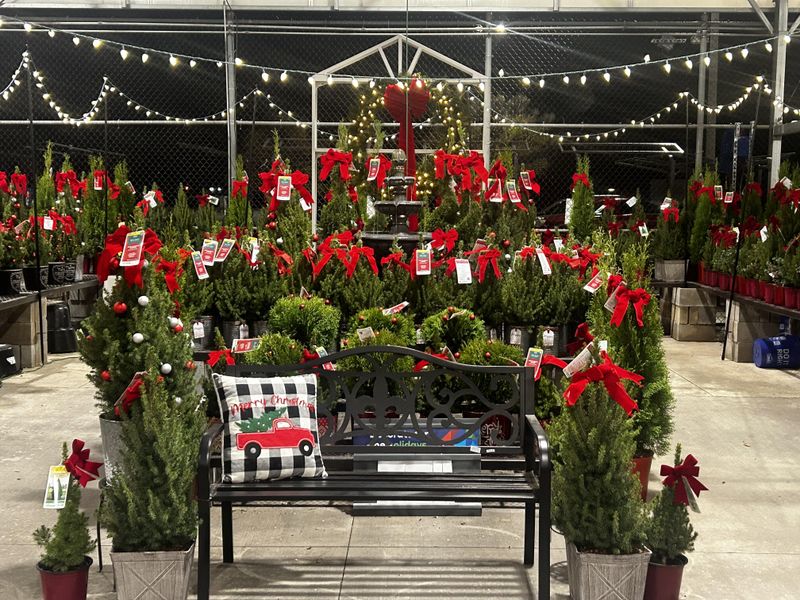 Marketing Strategies Get Developed in Early Planning Stages