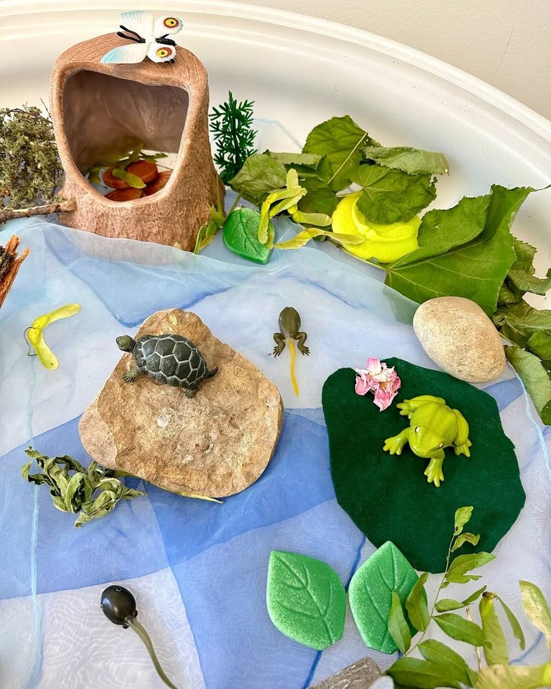 Provides Educational Opportunities For Families