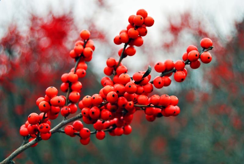 Increases Property Value And Curb Appeal