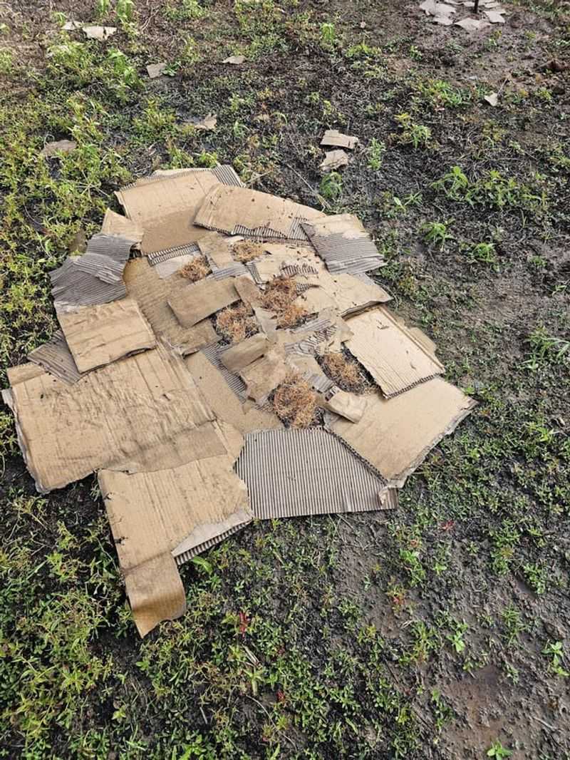 Improves Soil Structure Over Time