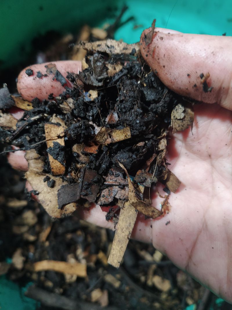 Enhancing Compost Piles With Green Material