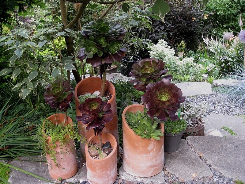 Affordable Way To Create A Designer Look