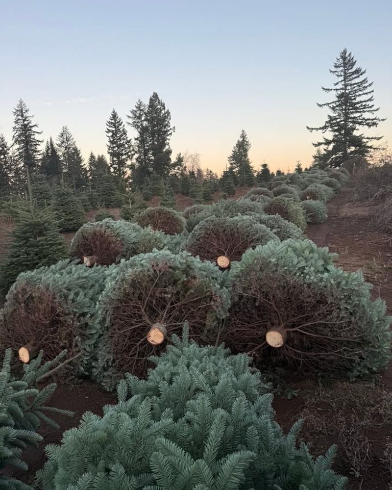 The Industry Creates Thousands Of Jobs Statewide