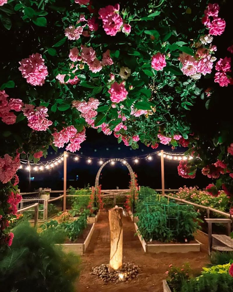 Connects Gardens To Louisiana's Rich Cultural History