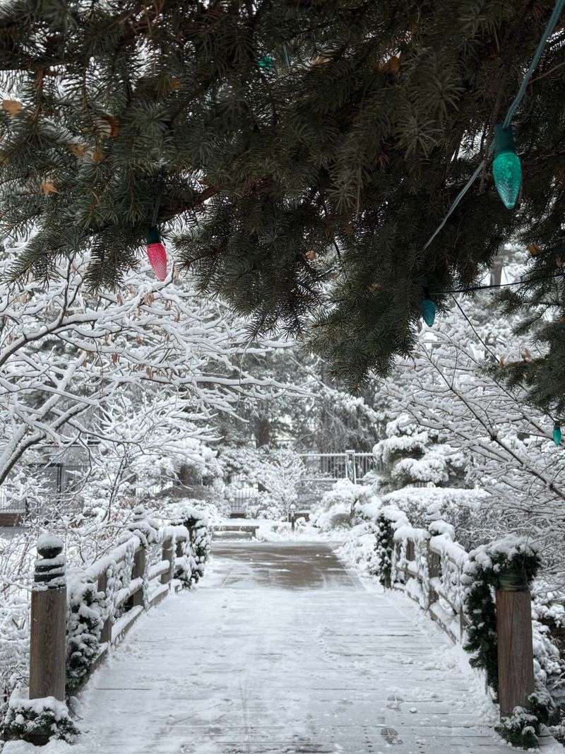 Stunning Seasonal Displays Throughout The Year