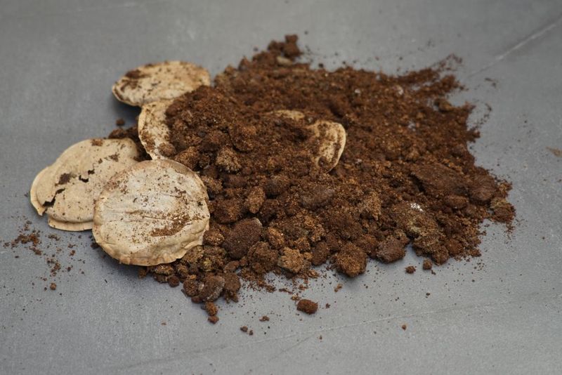 Natural Pest Deterrent Properties