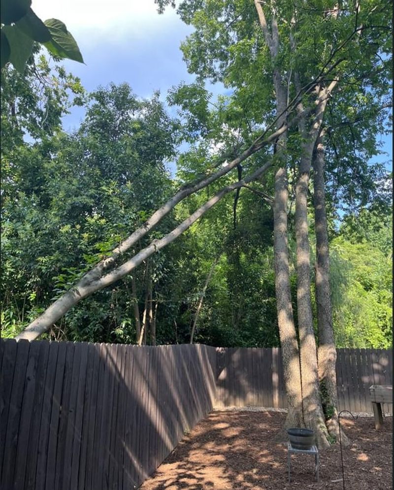 Preventing Future Problems With Boundary Trees