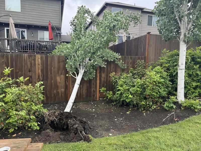 Small Claims Court Works For Fence Damage Disputes
