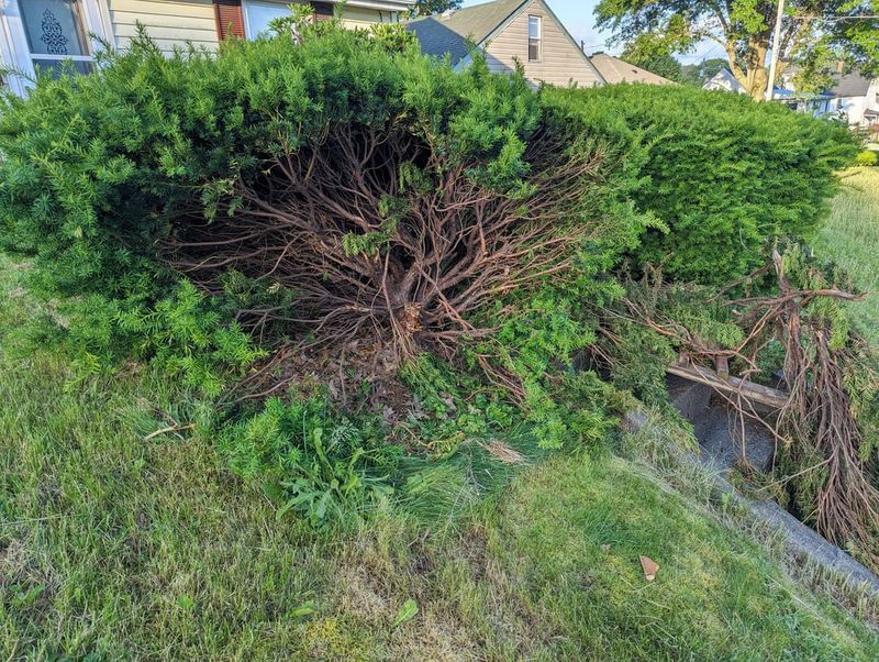 Understand Potential Liability For Damage