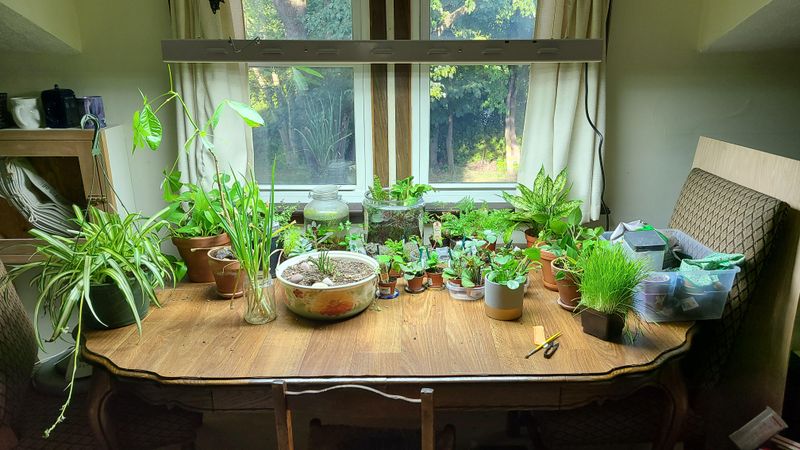 Offers an Affordable and Sustainable Hobby