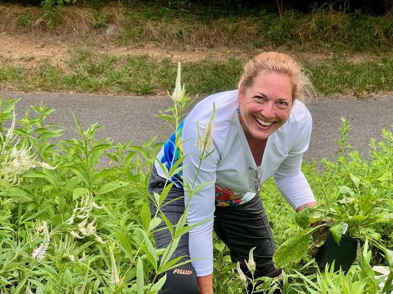 Gardens That Support Health And Wellness