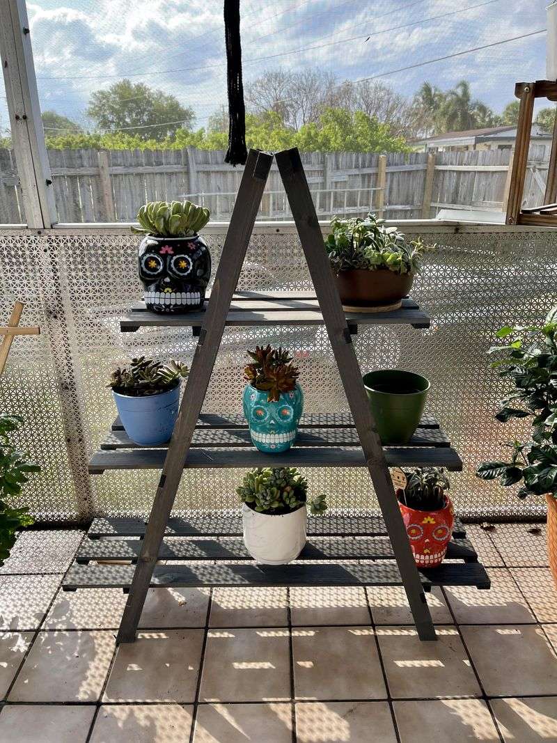 Old Ladders As Tiered Plant Displays