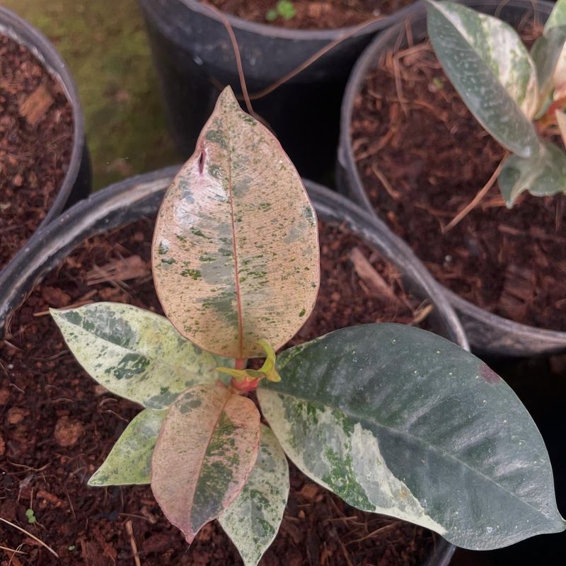 Educational Opportunities For Children During Long Winters