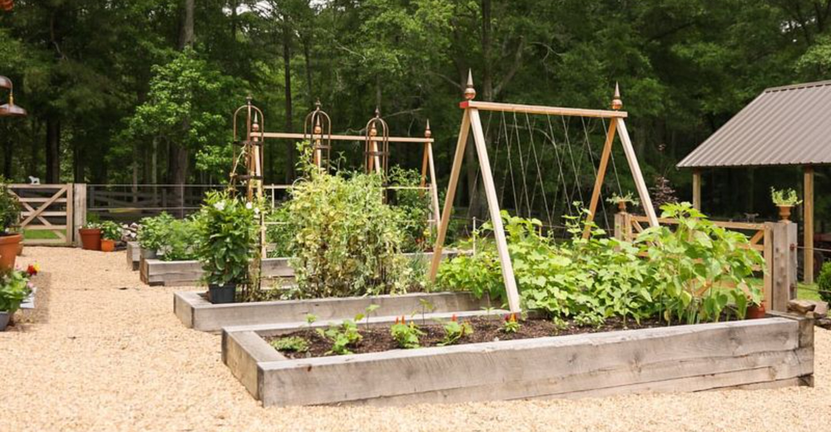 Tennessee Gardeners Are Making This Simple $30 Raised Bed Fast