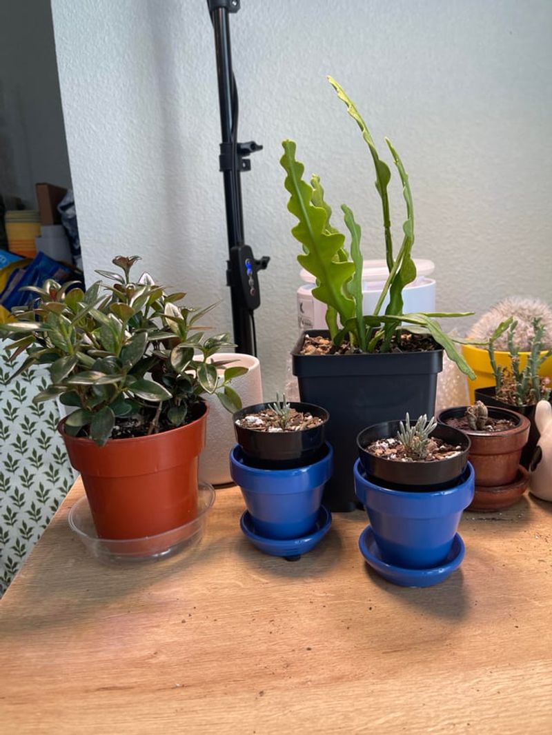 Increased Air Circulation From Vents