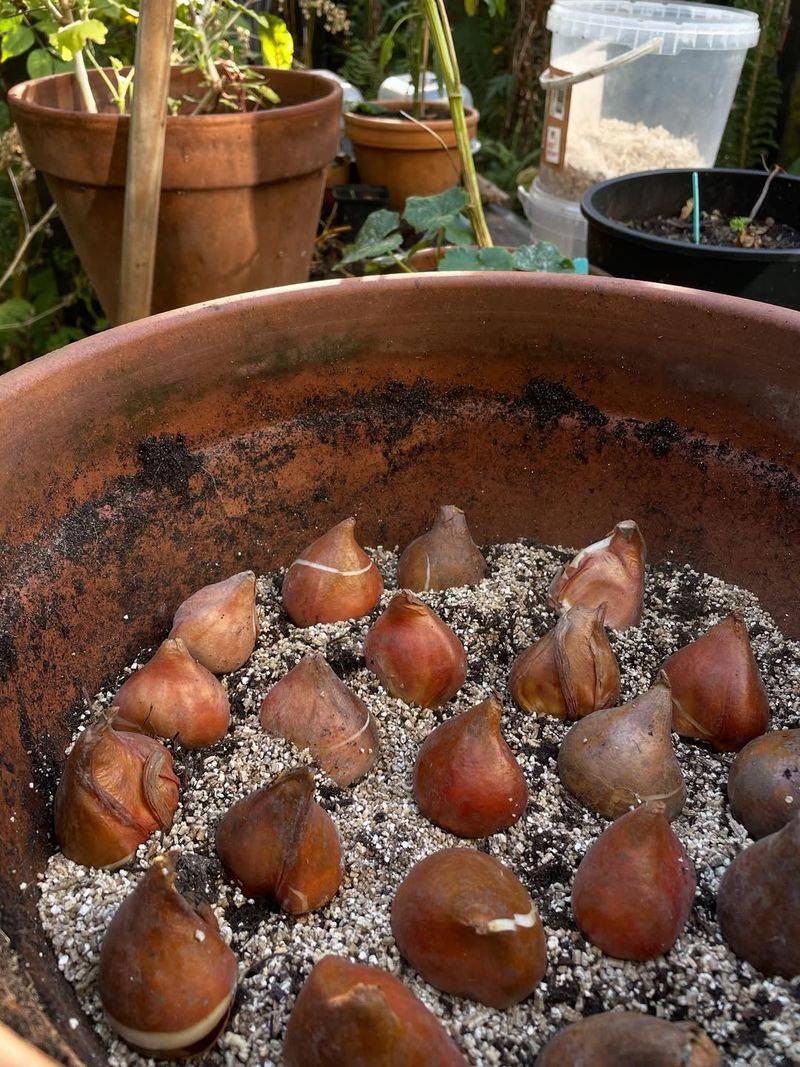 Mark Bulb Locations To Avoid Accidental Damage