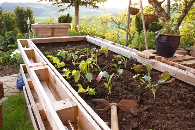 Add A Thick Layer Of Compost