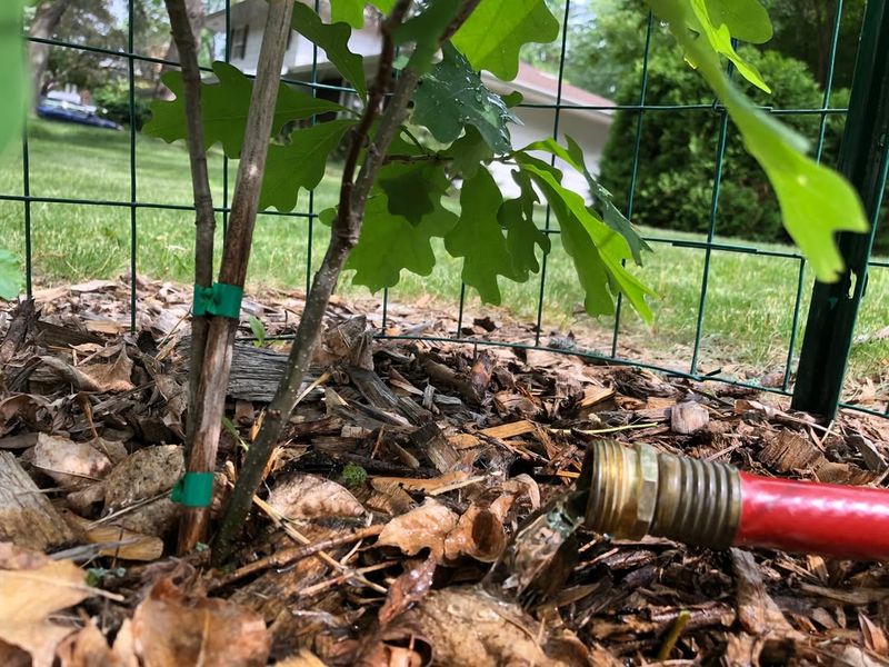 Water During Dry Winter Periods