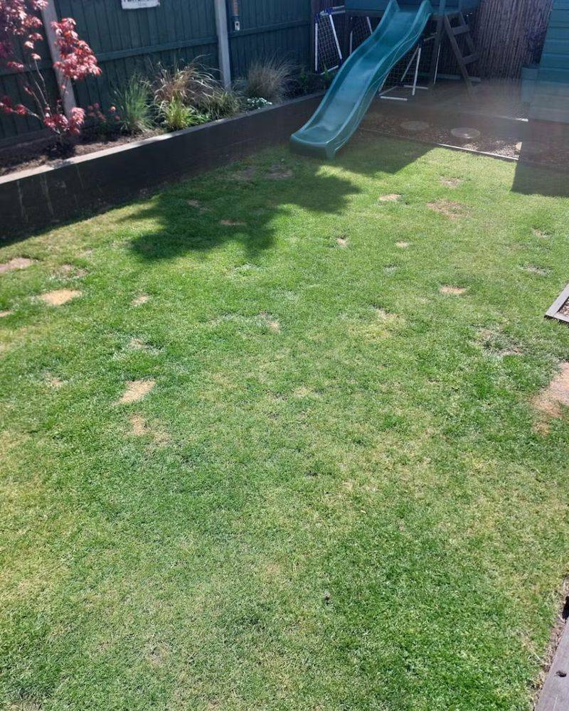 Shade Reduces Airflow And Sunlight