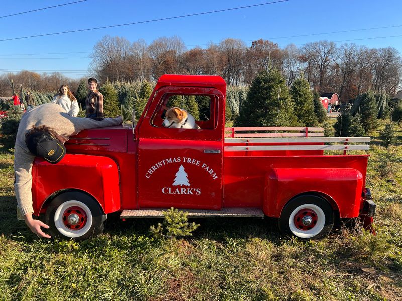 Clark's Christmas Tree Farm
