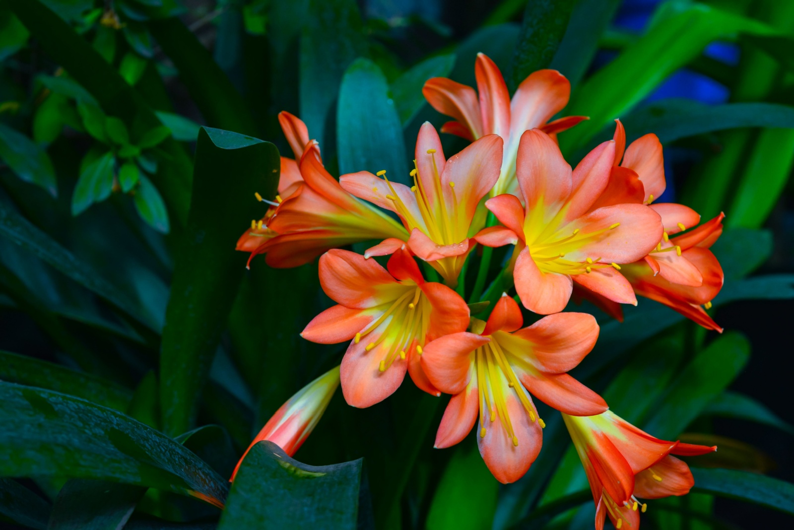 The 10 Easiest Indoor Plants For Massachusetts Winters